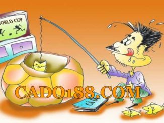 tylecacuoc cado188.com