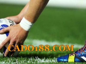 tylecacuoc cado188.com