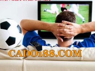 tylecacuoc cado188.com