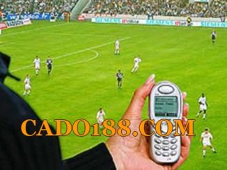 tylecacuoc cado188.com