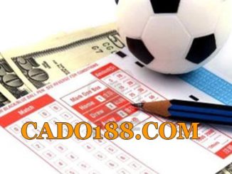 tylecacuoc cado188.com