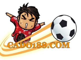 tylecacuoc cado188.com