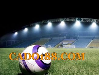 tylecacuoc cado188.com
