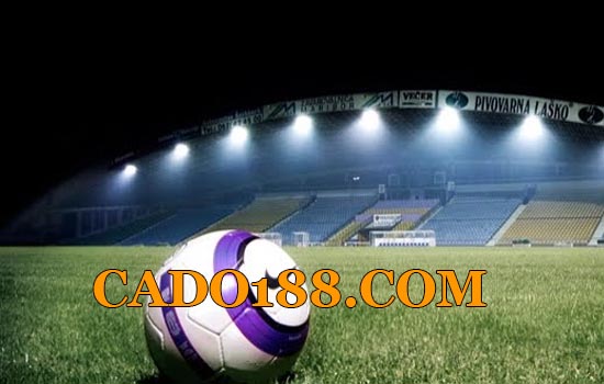 tylecacuoc cado188.com