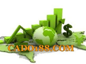 tylecacuoc cado188.com