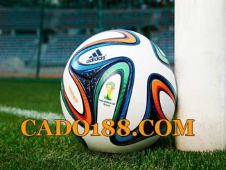 tylecacuoc cado188.com