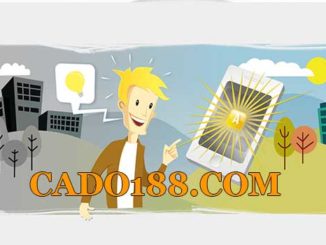 tylecacuoc cado188.com