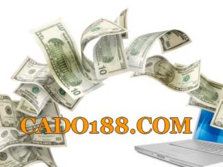 tylecacuoc cado188.com
