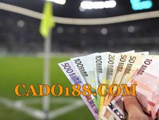 tylecacuoc cado188.com