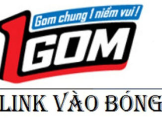 xem-thong-tin-nha-cai-1gom-giup-ban-an-tam-khi-choi-ca-cuoc2