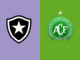 Botafogo vs Chapecoense