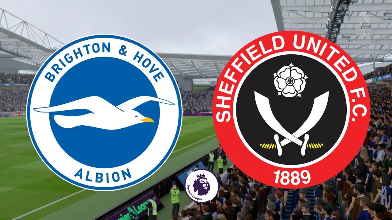 Brighton vs Sheffield United