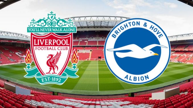 0_lfcbrighton2