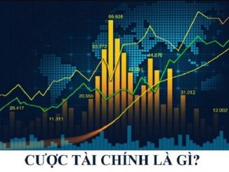 Cược Tài Chính Là Gì? Cách Cược Tài Chính Chắc Thắng