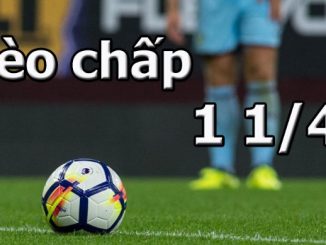 Kèo Chấp Một Trái Đồng Nửa Là Gì? Hướng Dẫn Xem Kèo Chi Tiết