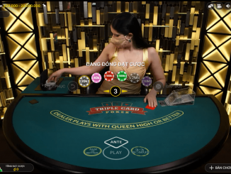 Poker Là Gì? Hướng Dẫn Chơi Poker Chi Tiết Tại 188bet