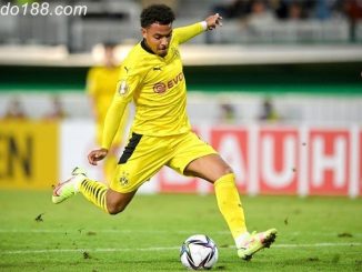 Dortmund thở phào nhẹ nhõm vì Donyell Malen tỏa sáng