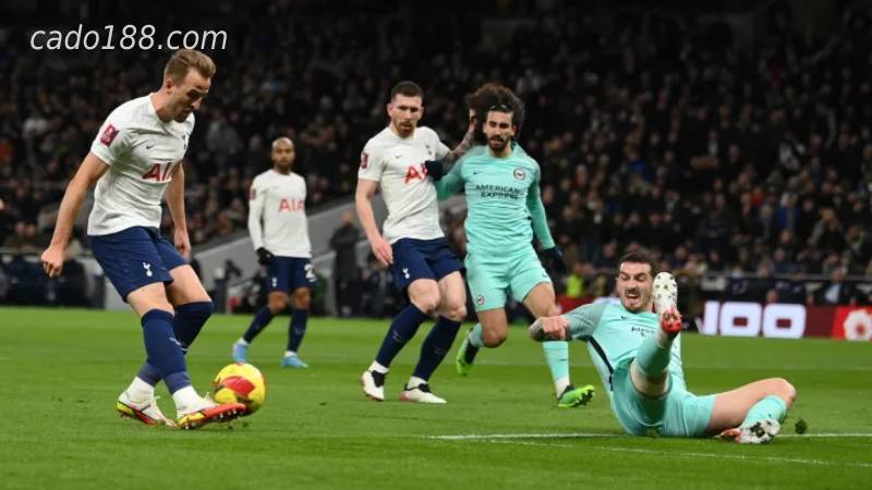 Chiến thắng Brighton, Tottenham cạnh tranh vị trí Top 4