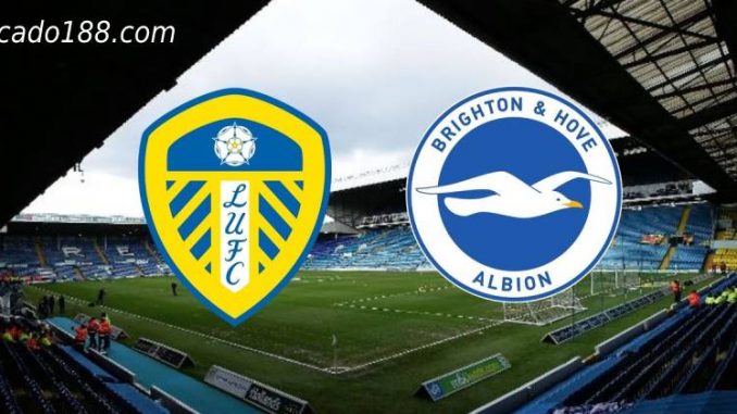 soi-keo-Leeds-United-vs-Brighton-15-05-188bet Soi kèo Leeds United vs Brighton, 20h00 ngày 15/05