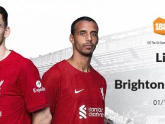 Nhân định soi kèo Liverpool vs Brighton, EPL