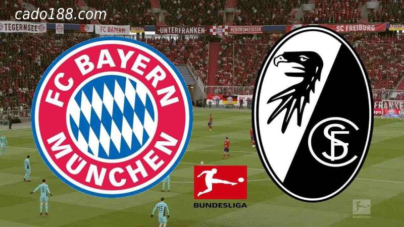 Soi kèo Bayern Munich vs Freiburg, Bundesliga