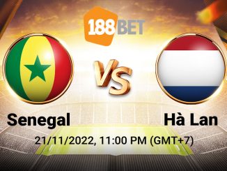 Soi kèo Senegal vs Hà Lan, World Cup
