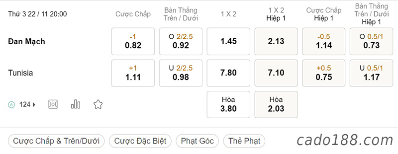 Đan Mạch vs Tunisia, World Cup 2022, ngày 21/11