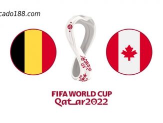 Soi kèo Bỉ vs Canada, World Cup 2022