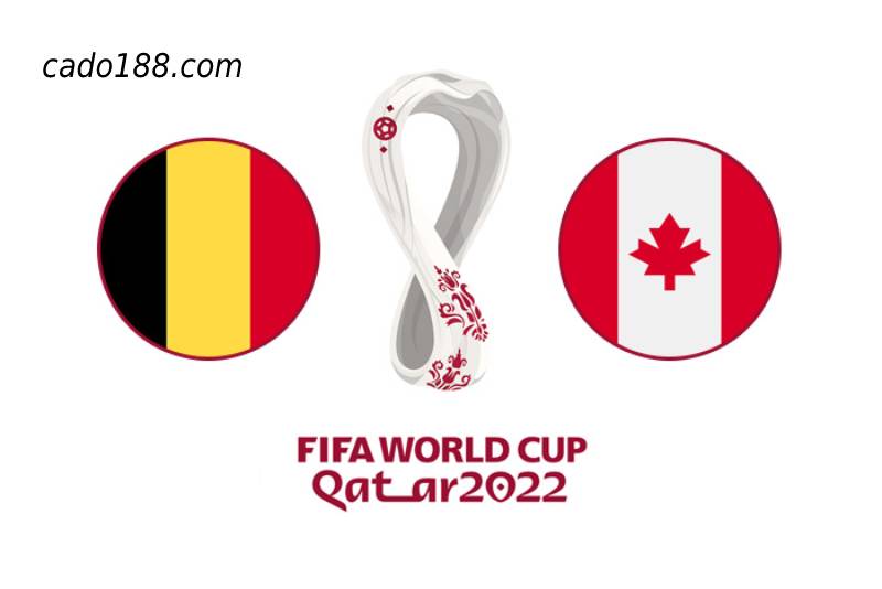 Soi kèo Bỉ vs Canada, World Cup 2022