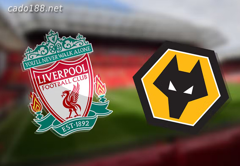 Soi kèo LFC Liverpool vs Wolves, 03h00 ngày 08/01, FA Cup