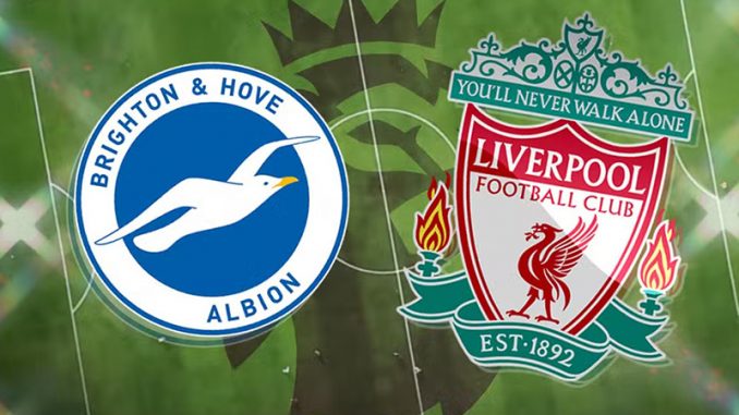 29-01-brighton-vs-lfc-liverpool-cado188 Soi kèo Brighton vs LFC Liverpool, 20h30 ngày 29/01, FA Cup