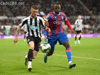 Soi kèo xiên ngày 22/01 Crystal Palace vs Newcastle, NHA