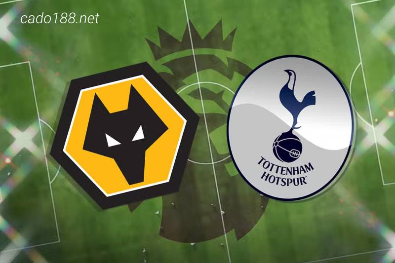 Soi kèo Wolverhampton vs Tottenham, 22h00 ngày 04/03