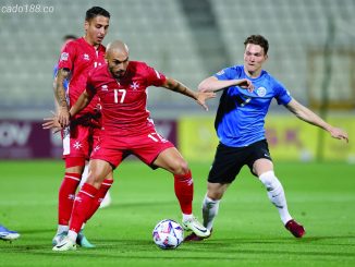 Soi kèo xiên ngày 24/03 Hungary vs Estonia, giao hữu Quốc tế