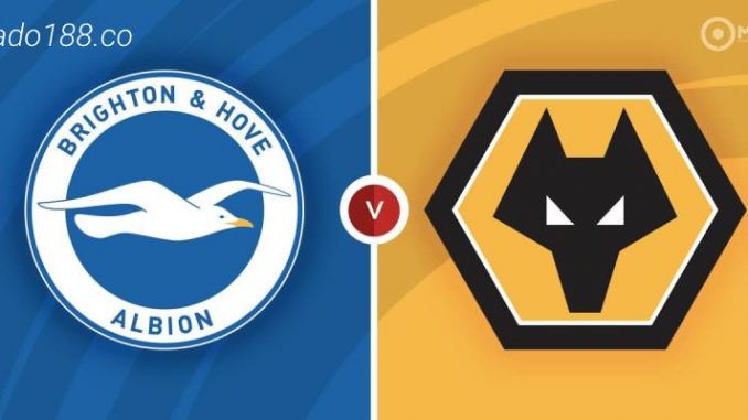 Soi kèo Brighton vs Wolverhampton, 21h00 ngày 29/04