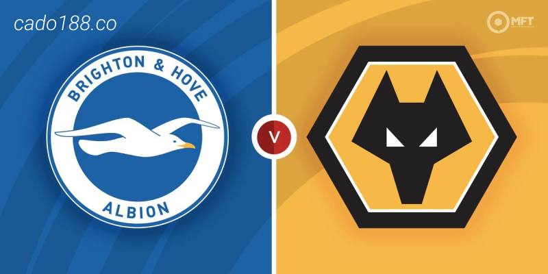 Soi kèo Brighton vs Wolverhampton, 21h00 ngày 29/04