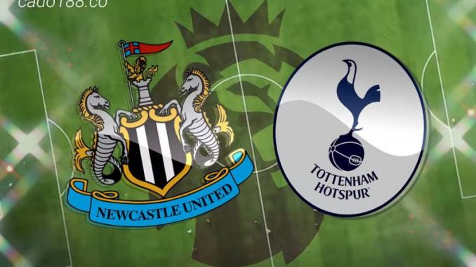 Soi kèo Newcastle United vs Tottenham, 20h00 ngày 23/04