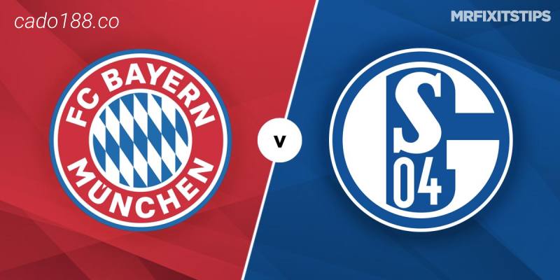 Soi kèo Bayern Munich vs Schalke 04, 20h30 ngày 13/05