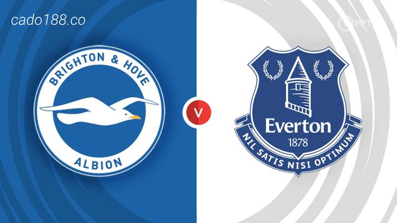 Soi kèo Brighton vs Everton, 23h30 ngày 08/05, EPL