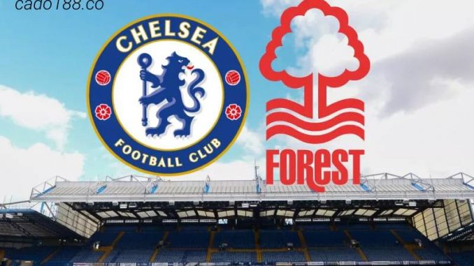 soi-keo-chelsea-vs-nottingham-13-05-188bet Soi kèo Chelsea vs Nottingham, 21h00 ngày 13/05, EPL