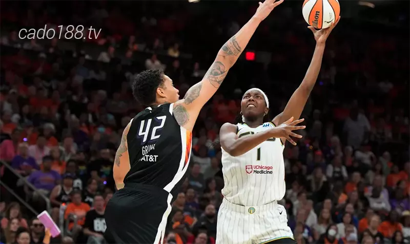 Cả Seattle Storm và Phoenix Mercury đều cho thấy sự cải thiện đáng kể trong khoảng thời gian gần đây Soi kèo bóng rổ WNBA Seattle Storm vs Phoenix Mercury 14_8