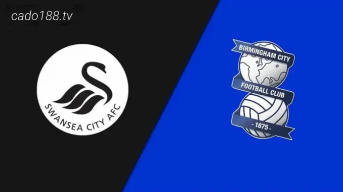 soi-keo-swansea-vs-birmingham-city-05-08-188bet Soi kèo Swansea City vs Birmingham City, 21h00 ngày 05/08