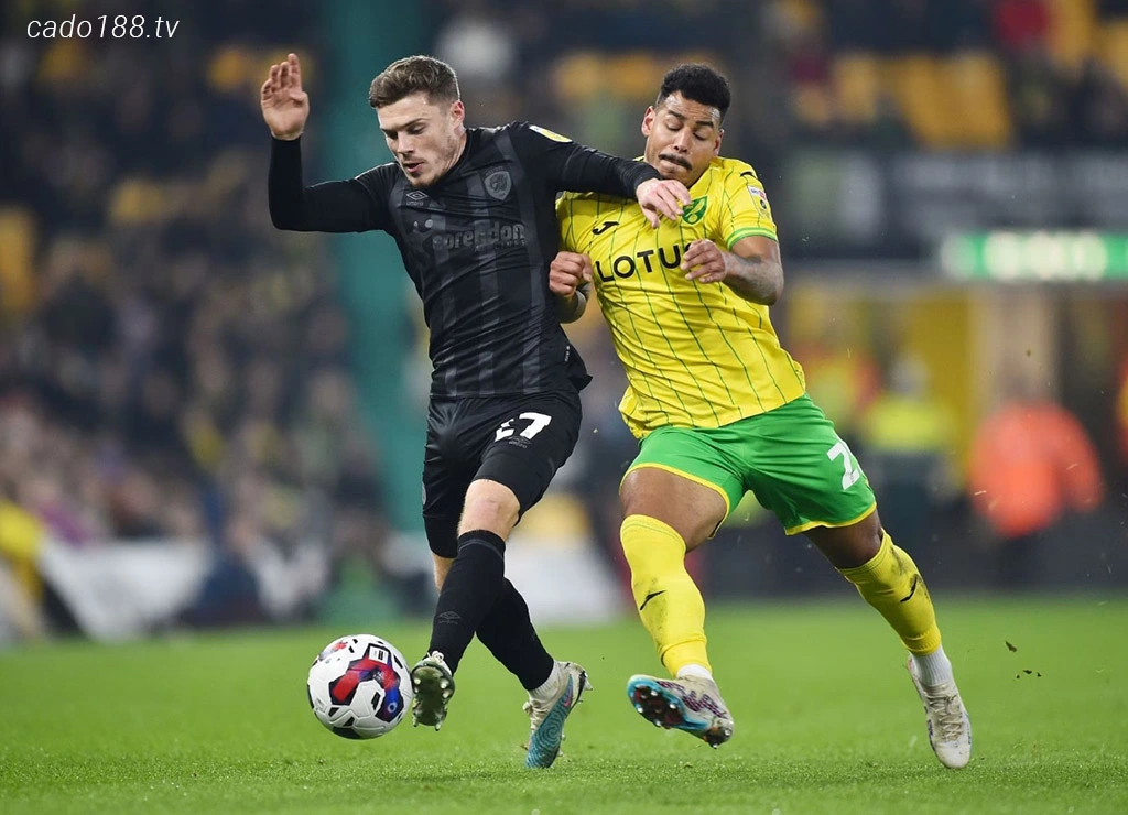 Nhận định kèo xiên 05/08 Norwich City vs Hull City, Championship