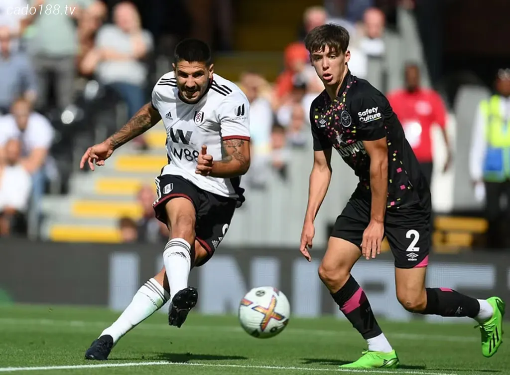 Nhận định kèo xiên 19/08 Fulham vs Brentford, EPL