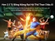 Khuyến mãi mừng đại hội thể thao