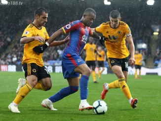 Nhận định kèo xiên 03/09 Crystal Palace vs Wolves, EPL