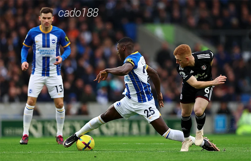 Nhận định soi kèo Brighton vs Fulham, 21h00 ngày 29:10
