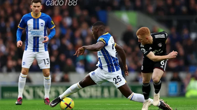 Nhận định soi kèo Brighton vs Fulham, 21h00 ngày 29:10