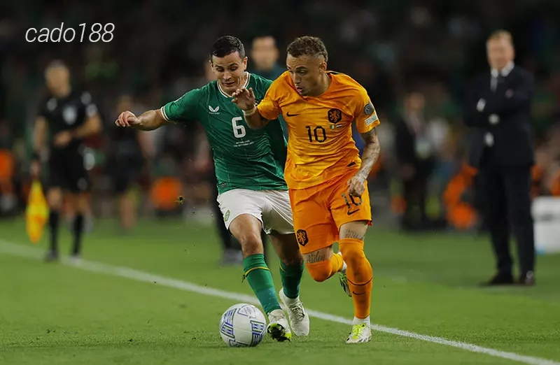 Nhận định soi kèo Hà Lan vs Ireland, 02h45 ngày 19_11 Nhận định soi kèo Hà Lan vs Ireland, 02h45 ngày 19_11