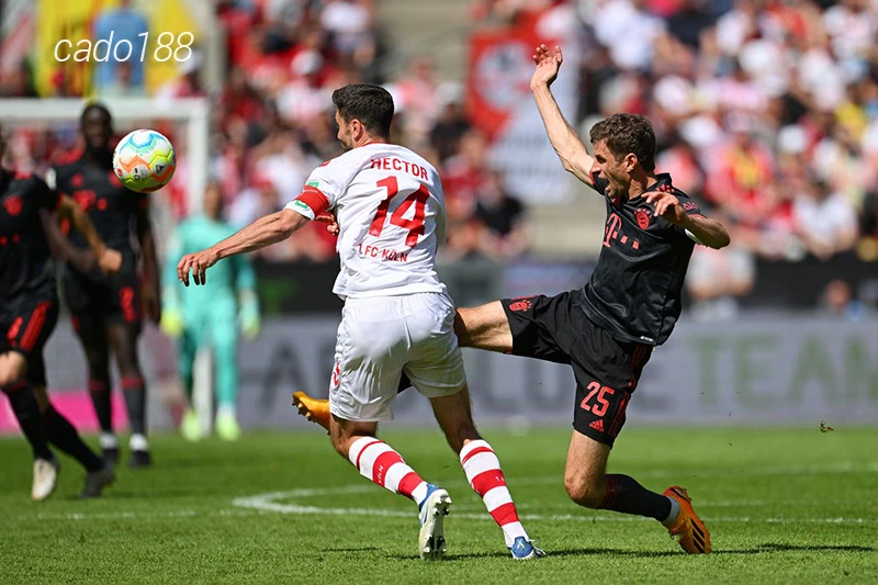 Nhận định soi kèo Koln vs Bayern Munich, 02h30 ngày 25.11